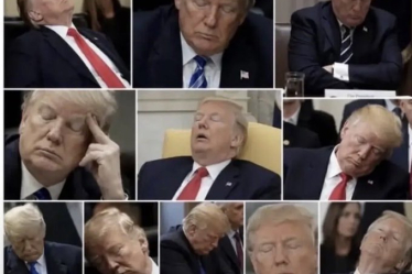 Donald Trump dort