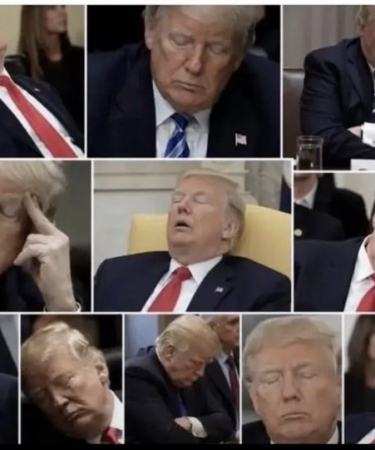 Donald Trump dort