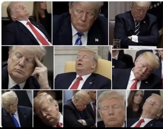 Donald Trump dort