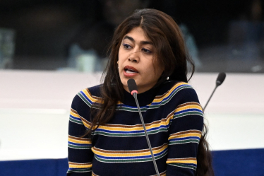 Rima Hassan drapeaux