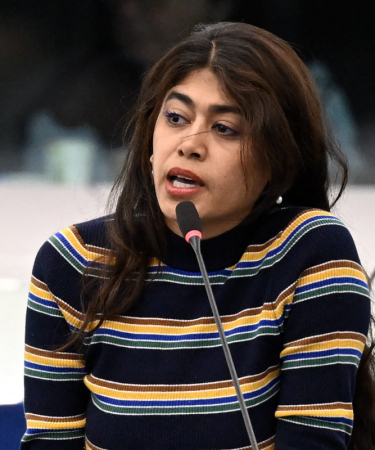 Rima Hassan drapeaux